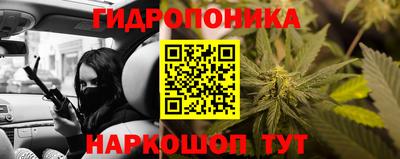 индика Пушкино