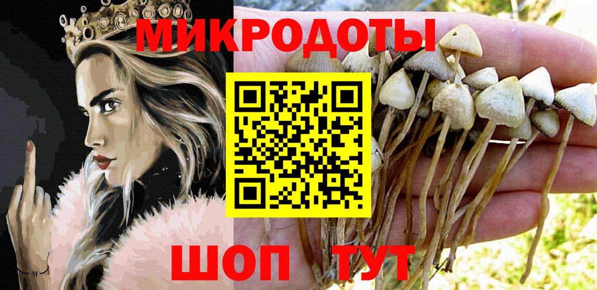 Псилоцибиновые грибы Cubensis Туапсе